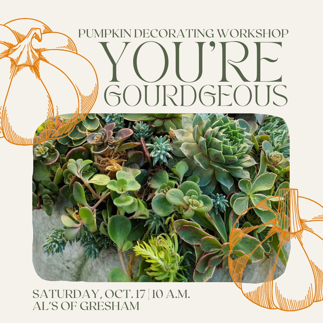 You're Gourdgeous: Pumpkin Decorating Workshop - Gresham