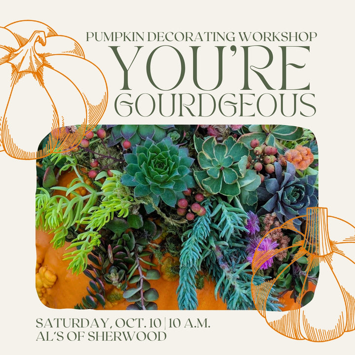 You're Gourdgeous: Pumpkin Decorating Workshop - Sherwood