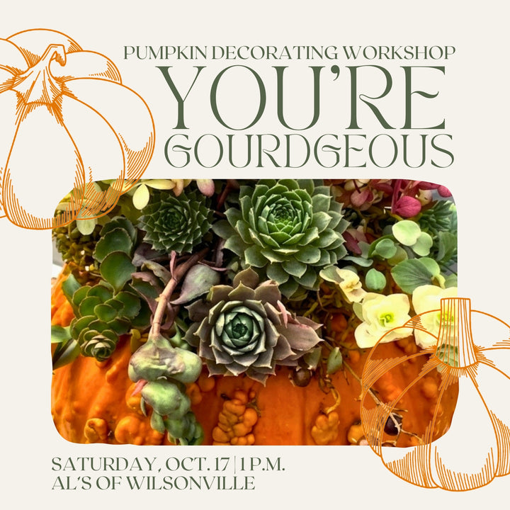 You're Gourdgeous: Pumpkin Decorating Workshop - Wilsonville