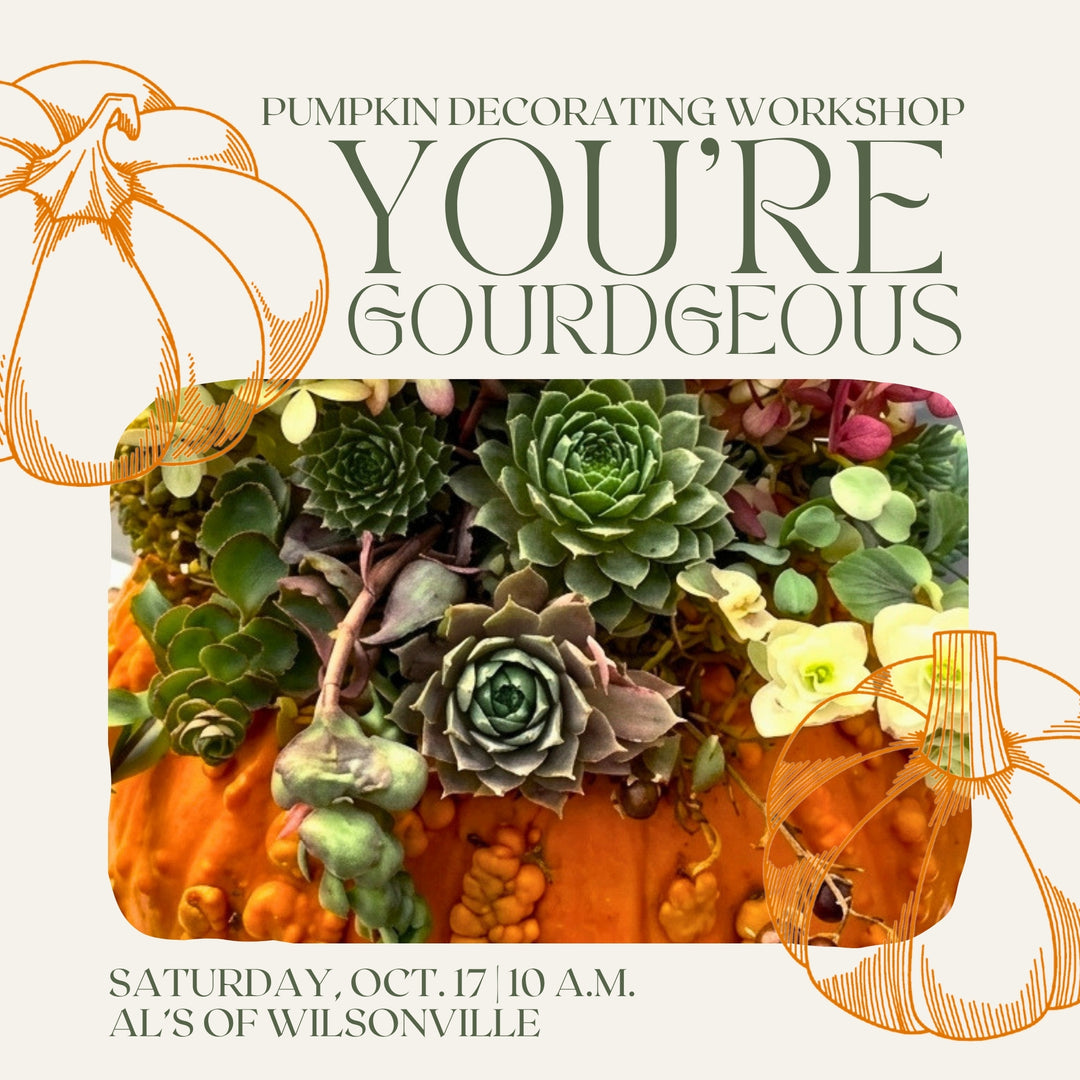 You're Gourdgeous: Pumpkin Decorating Workshop - Wilsonville