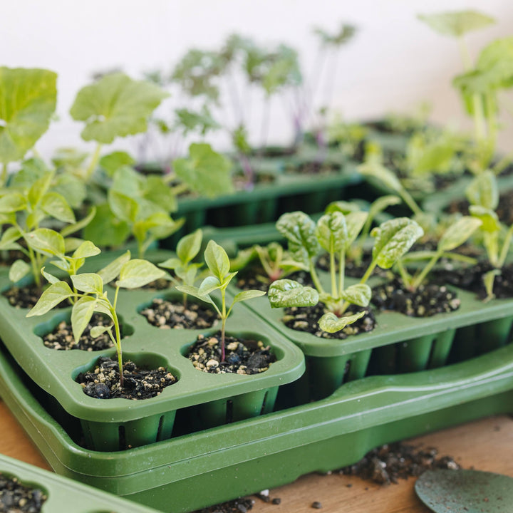 GreenStalk Seed Starting Kit