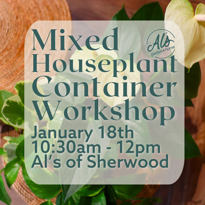 Mixed Houseplant Container Workshop: Sherwood