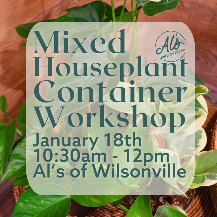 Mixed Houseplant Container Workshop: Wilsonville