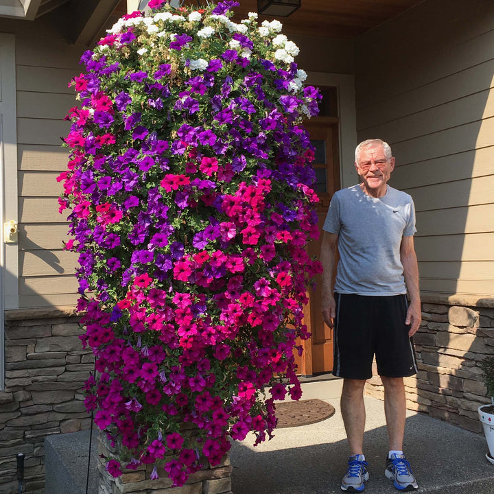 Growing Guides Al's Garden & Home