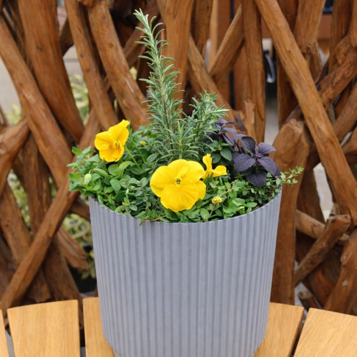 Herb Container Workshop - Gresham