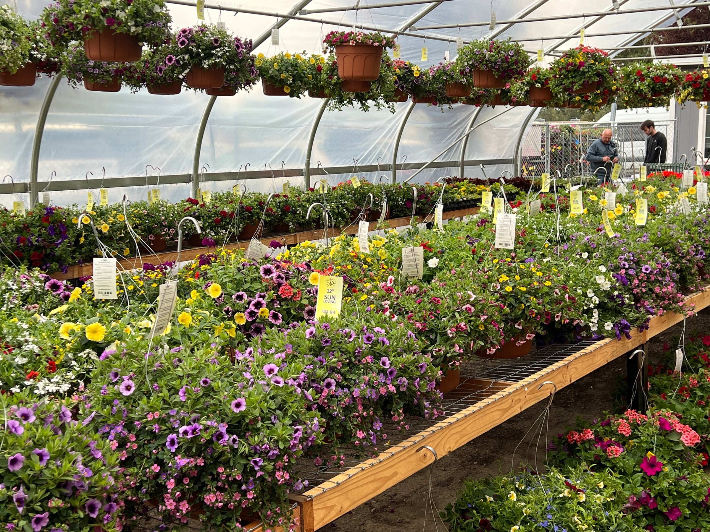 Al's Garden & Home - Woodburn