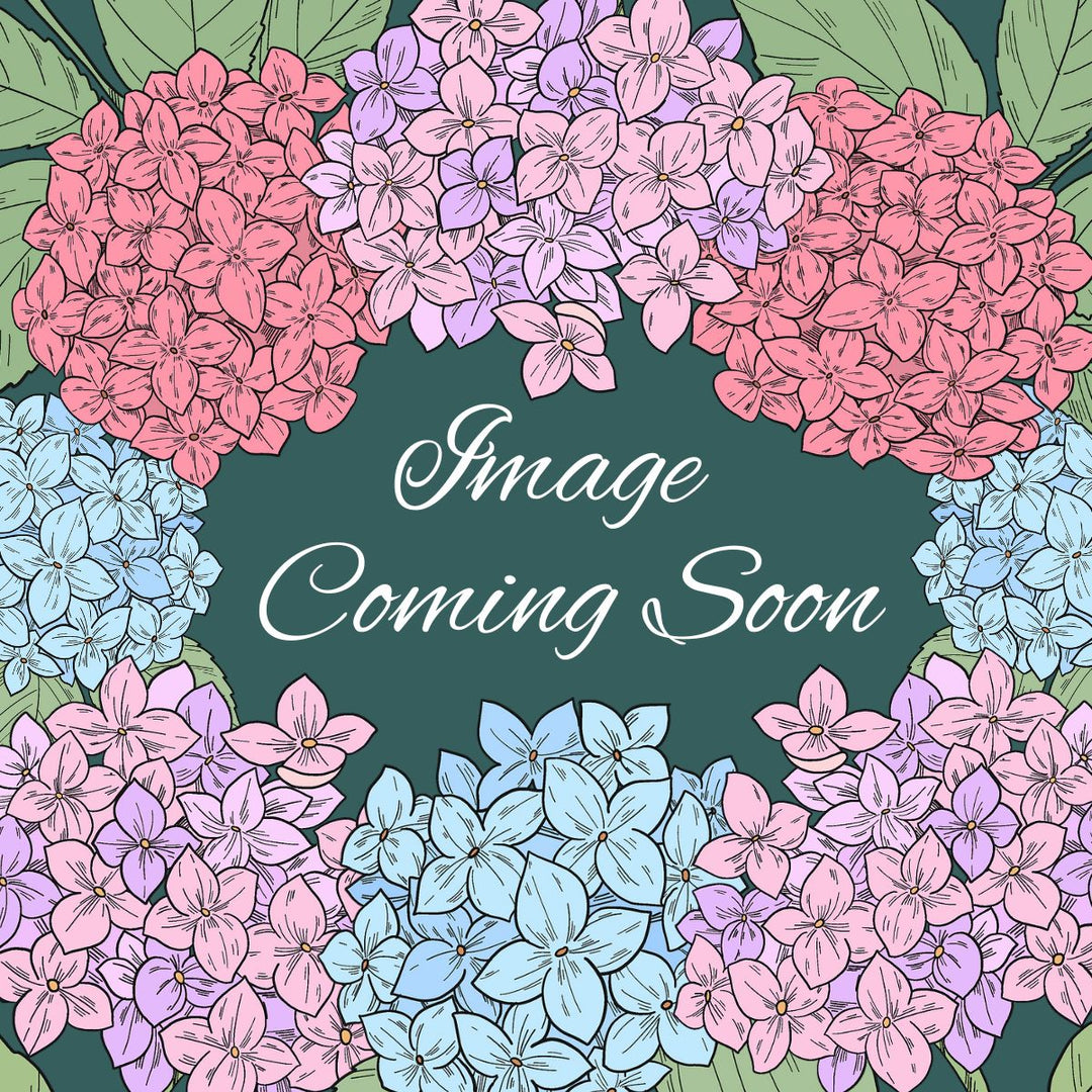 Product Image Coming Soon