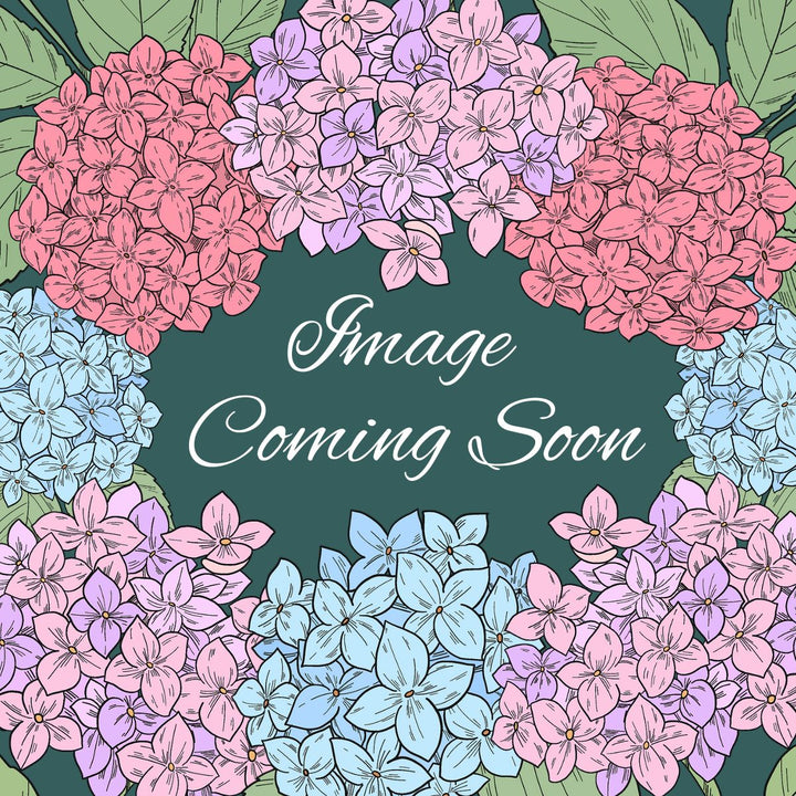 Product Image Coming Soon