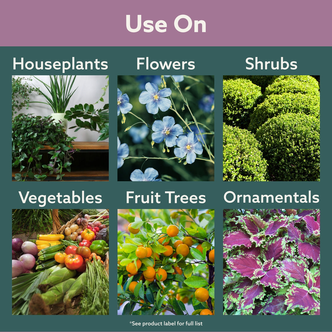 Bonide Insecticidal Soap Spray