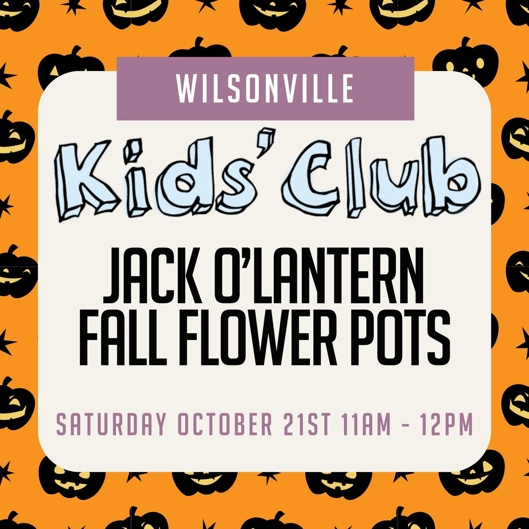 Wilsonville Kids' Club: Jack O'Lantern Fall Flower Pots