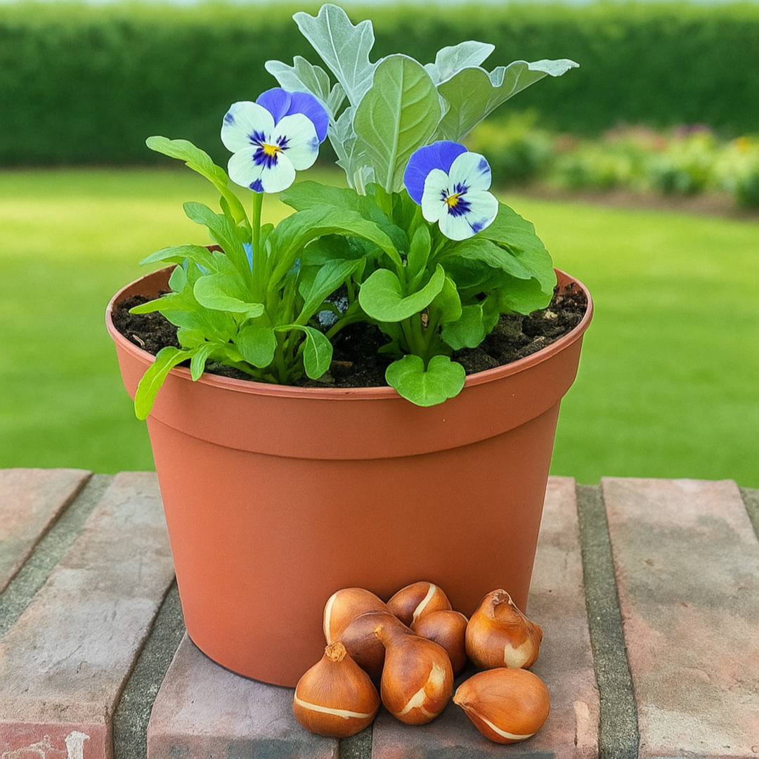 Fall Flowers & Spring Surprises - Kids' Club: Sherwood