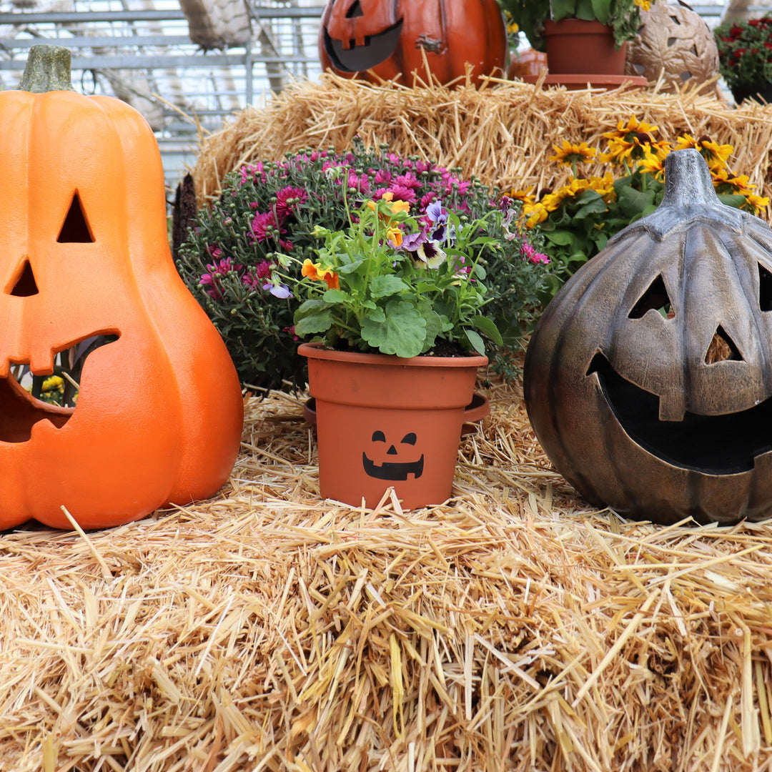 Gresham Kids' Club: Jack O'Lantern Fall Flower Pots