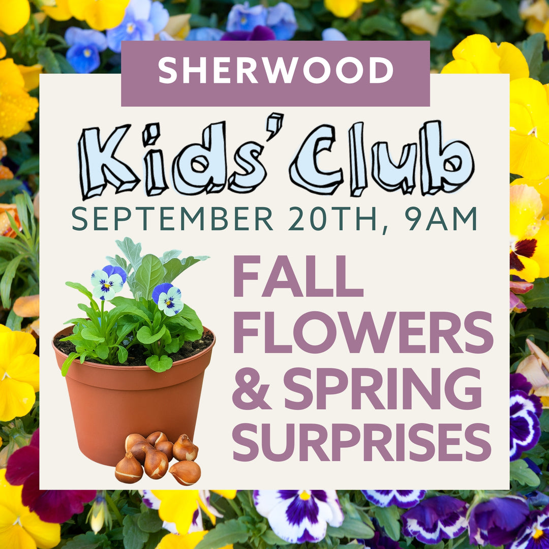 Fall Flowers & Spring Surprises - Kids' Club: Sherwood