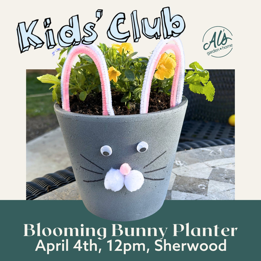 Blooming Bunny Planter- Kids' Club: Sherwood