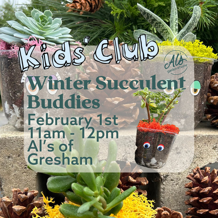 Winter Succulent Buddies - Kids' Club: Gresham