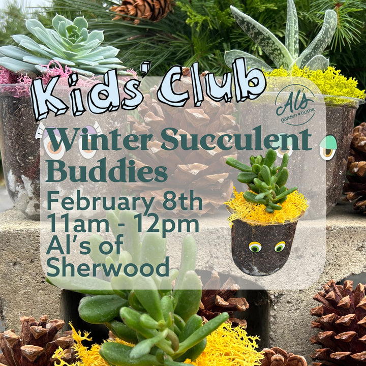 Winter Succulent Buddies - Kids' Club: Sherwood