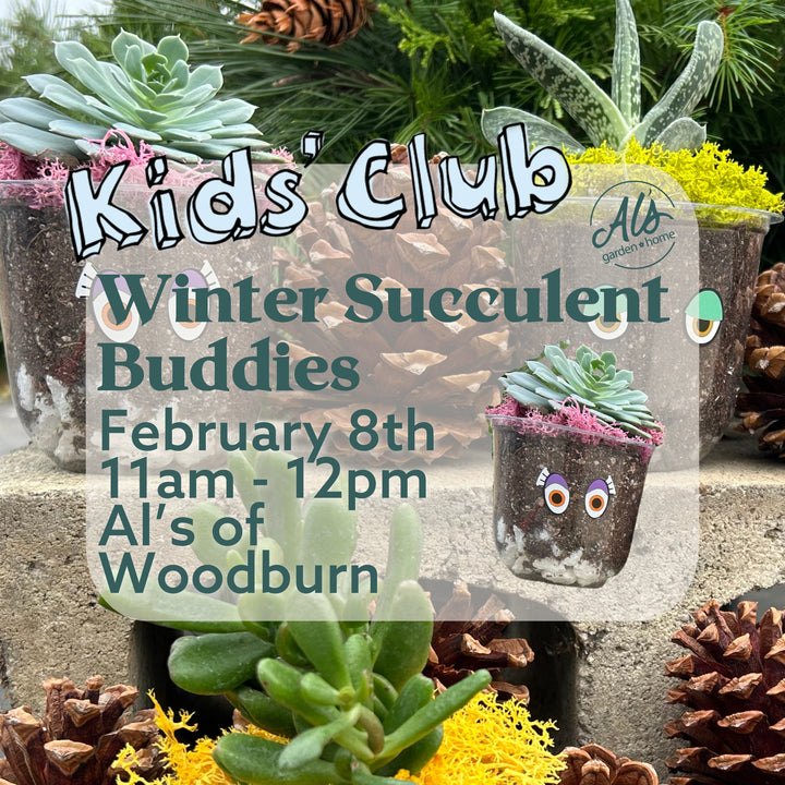 Winter Succulent Buddies - Kids' Club: Woodburn