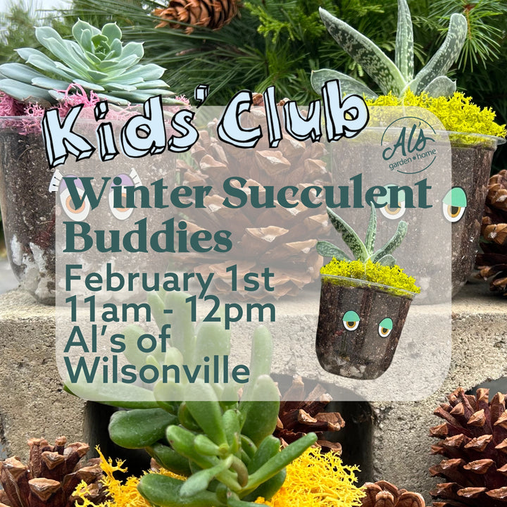 Winter Succulent Buddies - Kids' Club: Wilsonville