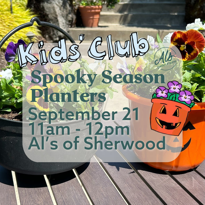 Sherwood Kids’ Club: Spooky Season Planters