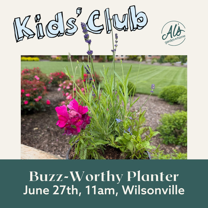 Buzz-Worthy Planter - Kids' Club: Wilsonville
