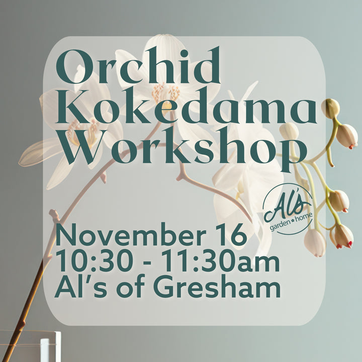 Orchid Kokedama Workshop: Gresham