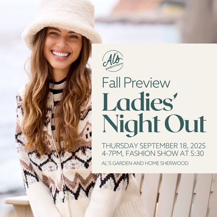 Ladies' Night Out - Fall Preview
