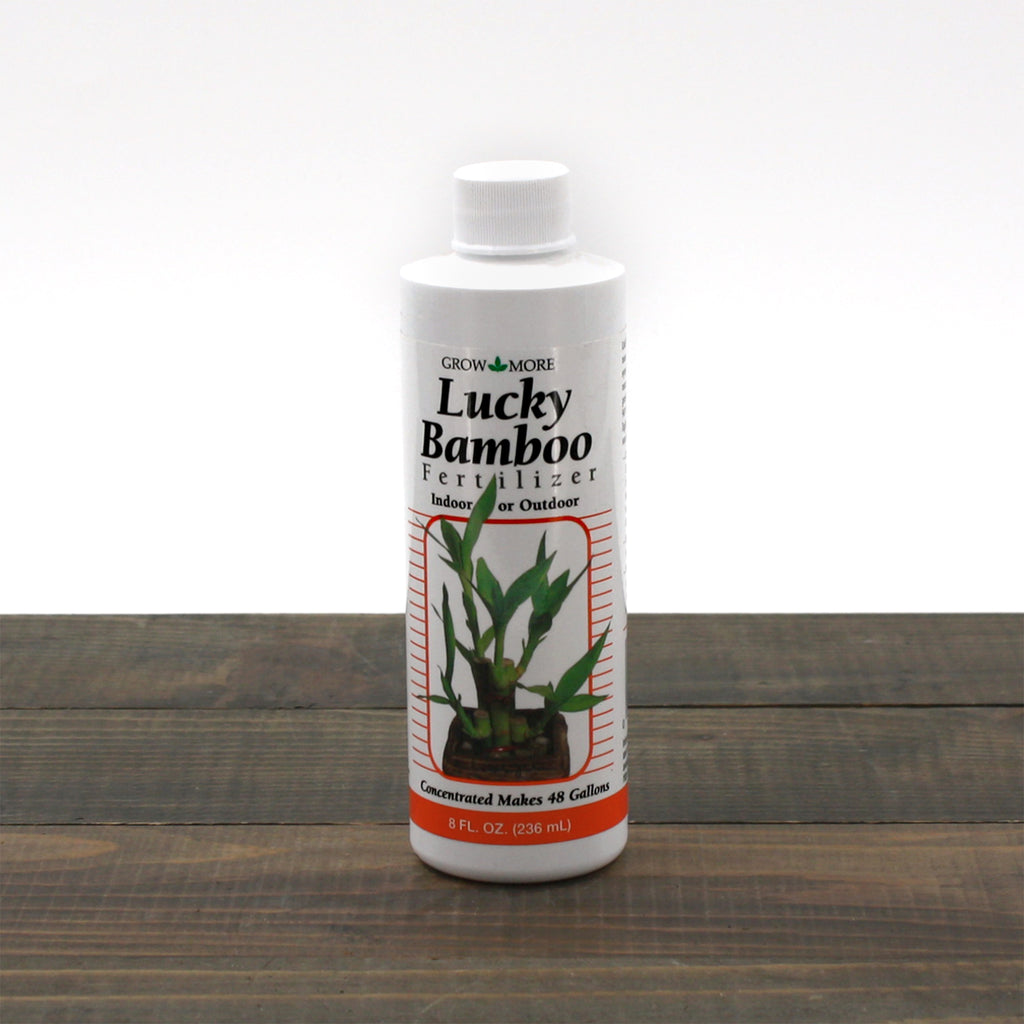 lucky bamboo gonzales Lucky Bamboo Fertilizer – Al's Garden & Home