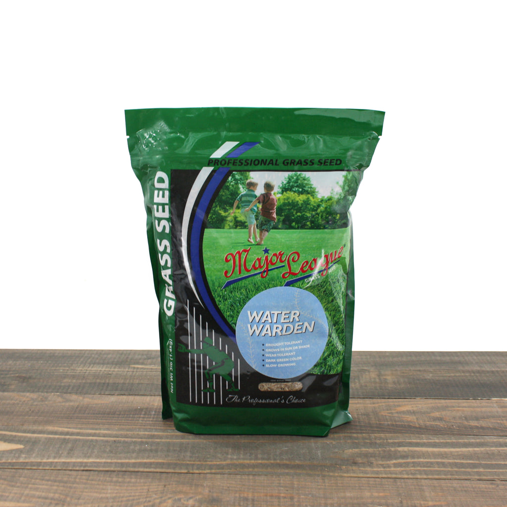 grass seed for low water Rogue Superior Wear Grass Seed Mix
