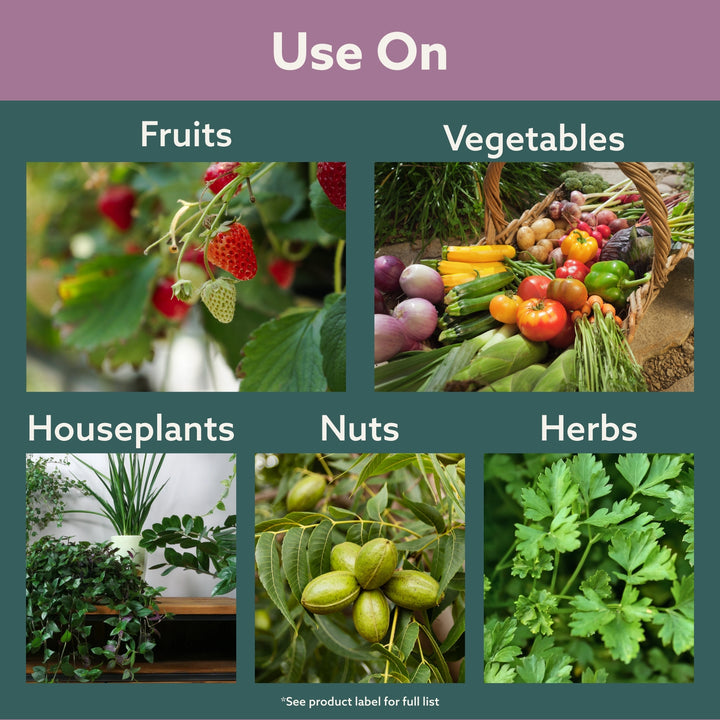 Bonide Mite X Houseplant Insect Control Spray