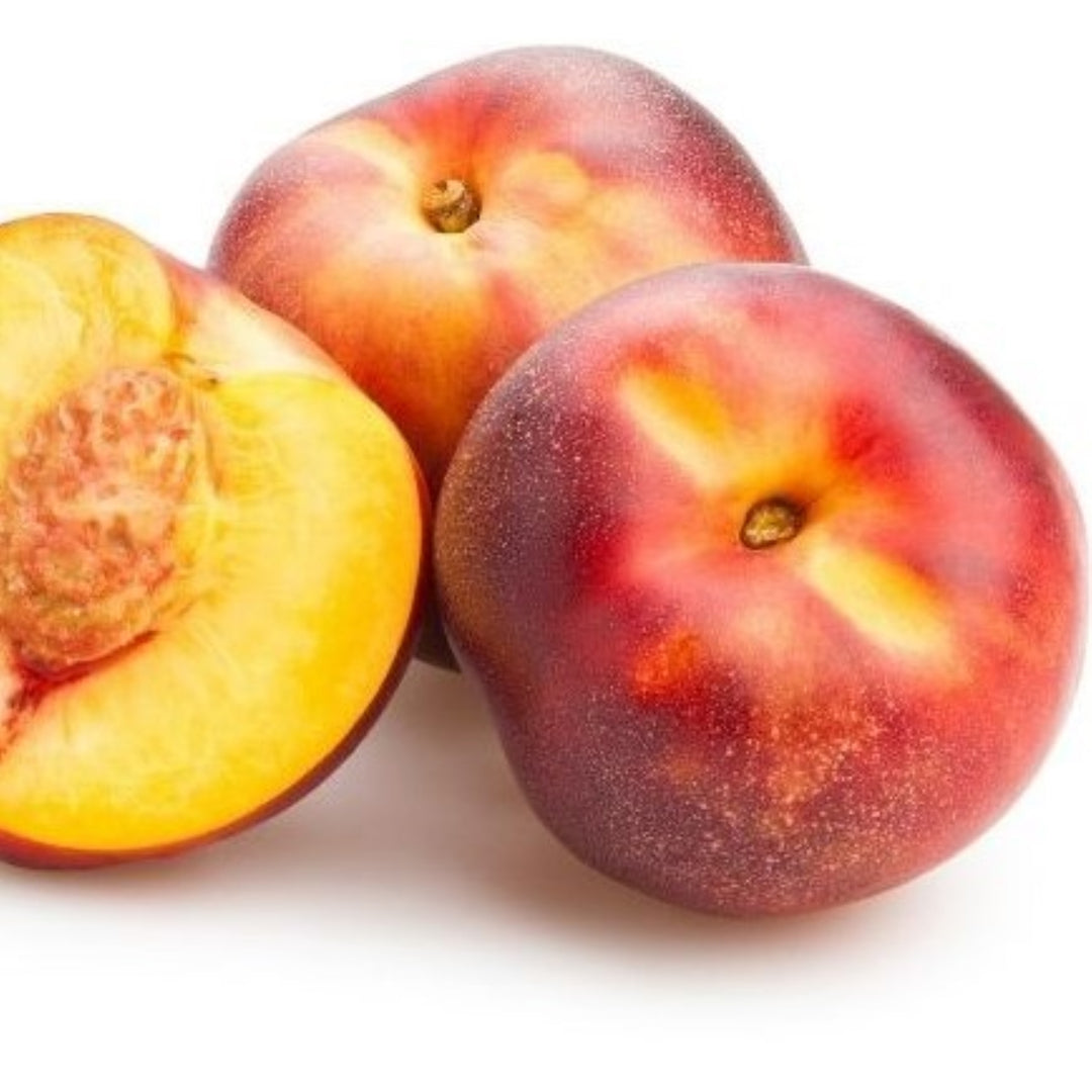 Prunus persica var. nucipersica 'Necta Zee' Bare Root Nectarine Tree, Miniature Nectarine, Tree