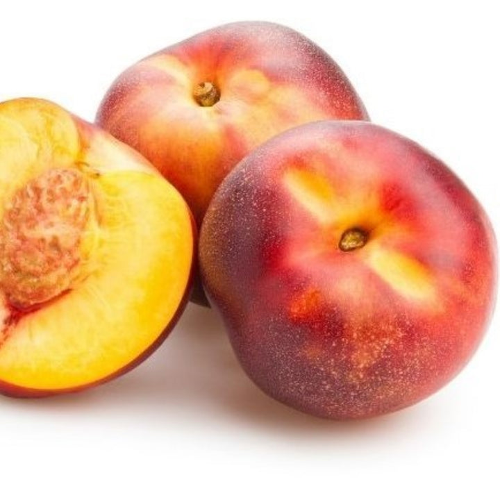 Prunus persica var. nucipersica 'Necta Zee' Bare Root Nectarine Tree, Miniature Nectarine, Tree
