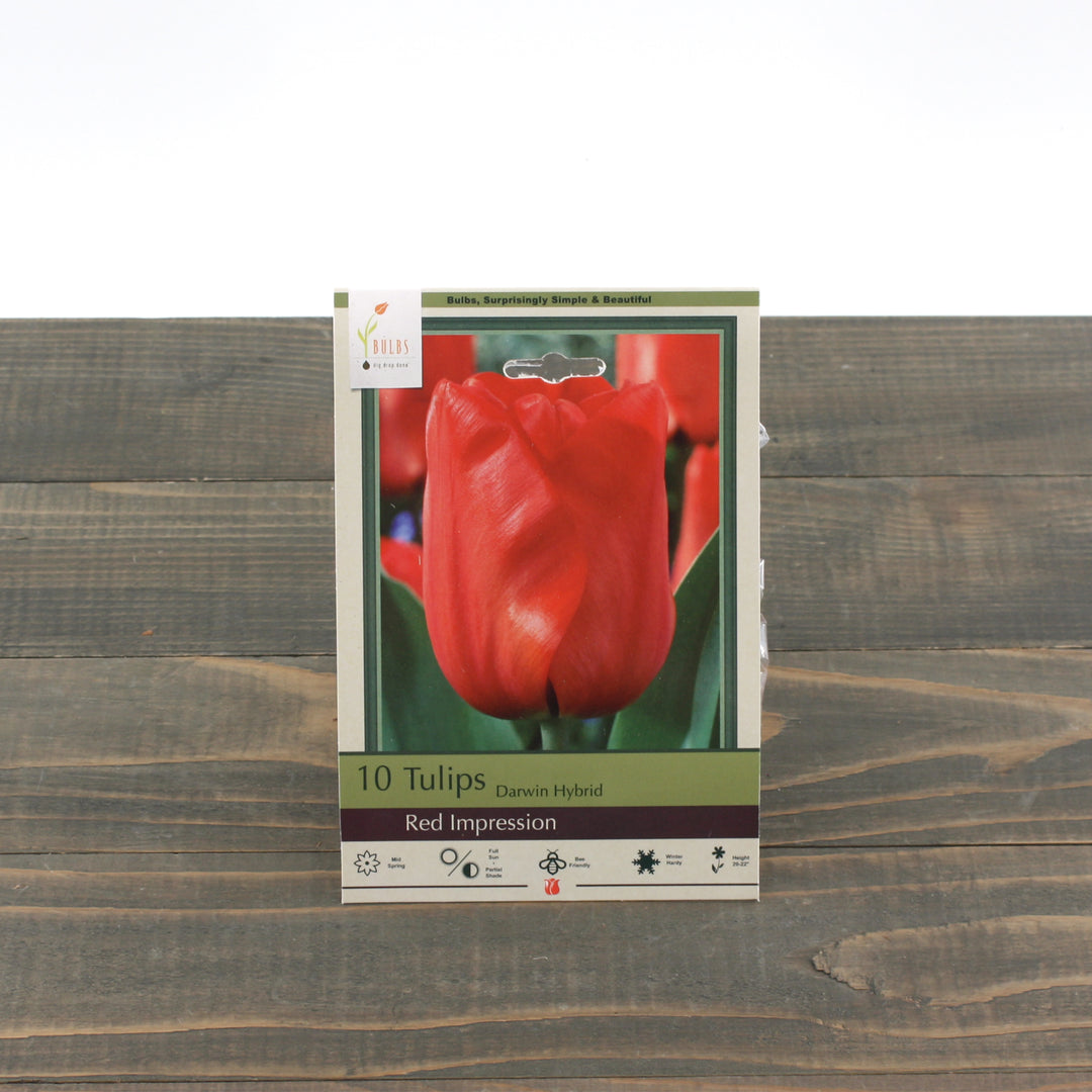 Netherland Bulbs 'Red Impression' Darwin Hybrid Tulips (10/Bag)