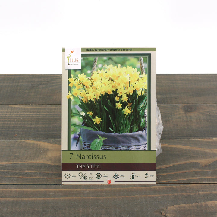 Netherland Bulbs 'Tête à Tête' Narcissus (8/Bag)
