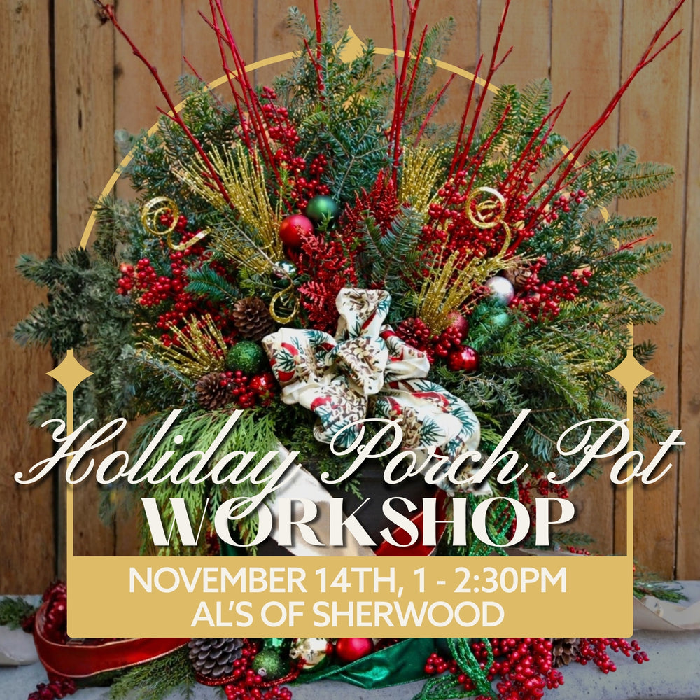 Holiday Porch Pot Workshop - Sherwood