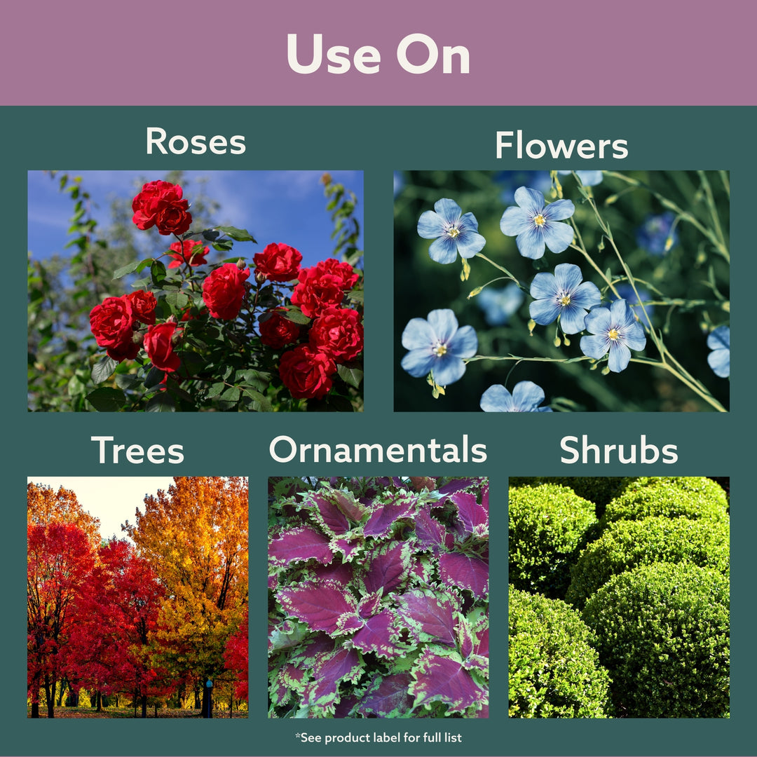 Bonide Rose Shield™ Insect and Disease Protection