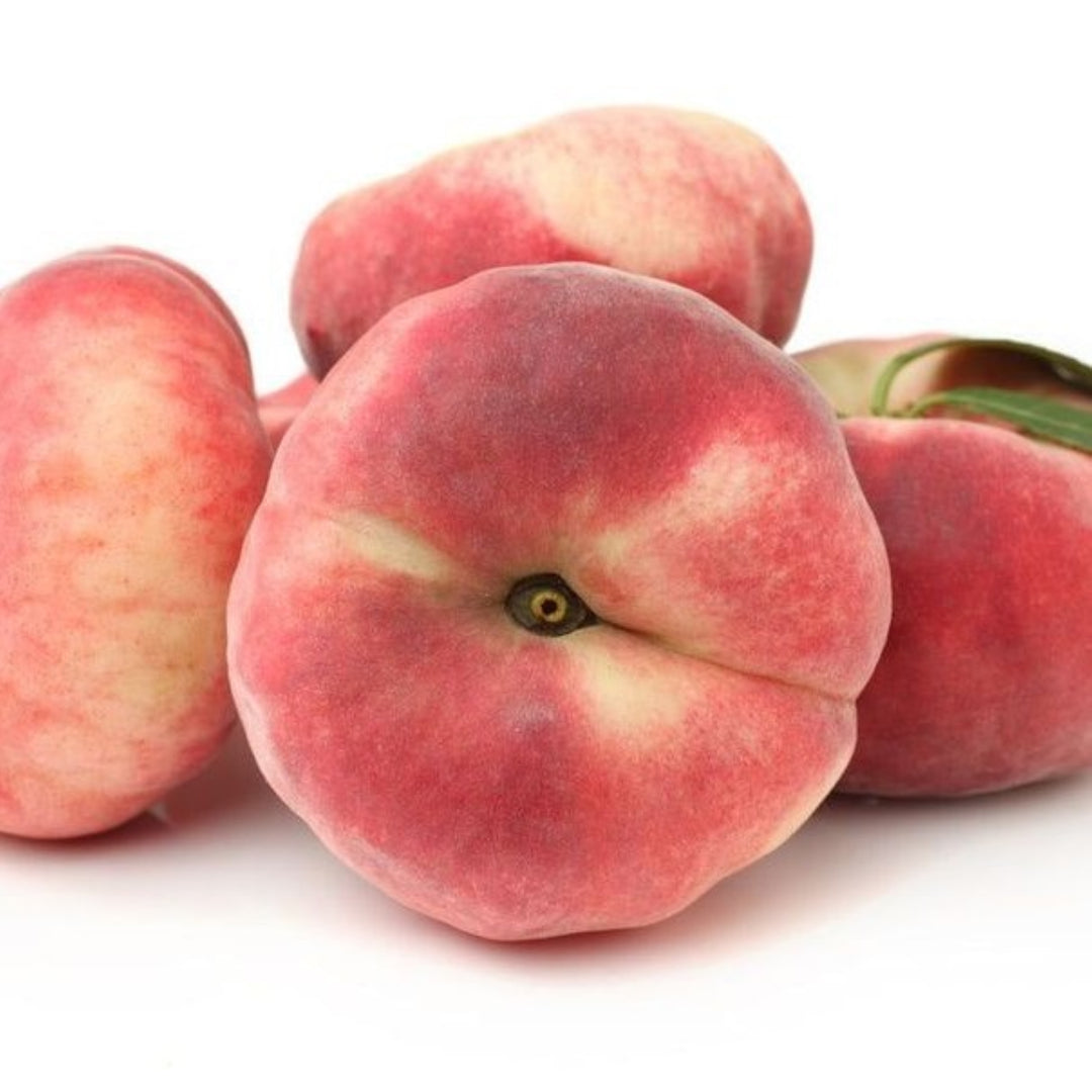 Prunus persica 'Saturn' Semi-Dwarf Peach, Bare Root Peach Tree, Tree
