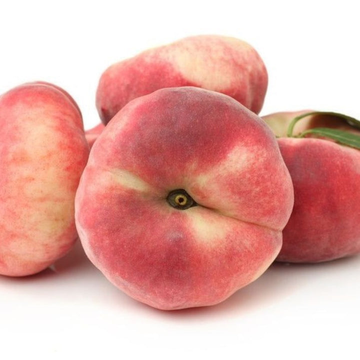 Prunus persica 'Saturn' Semi-Dwarf Peach, Bare Root Peach Tree, Tree