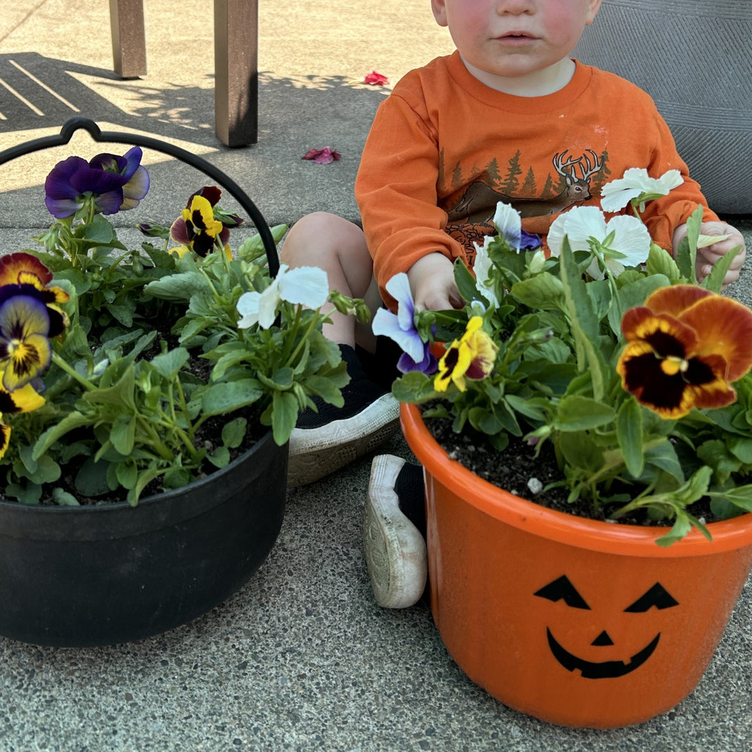 Wilsonville Kids’ Club: Spooky Season Planters