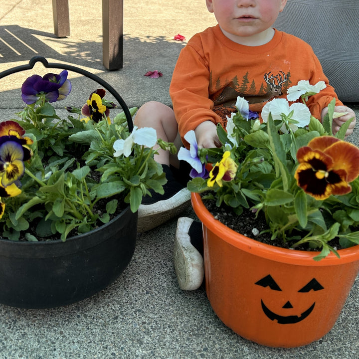 Gresham Kids’ Club: Spooky Season Planters