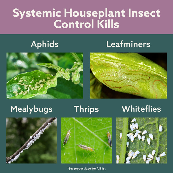 Systemic Houseplant Insect Control Granules