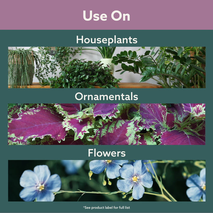 Systemic Houseplant Insect Control Granules