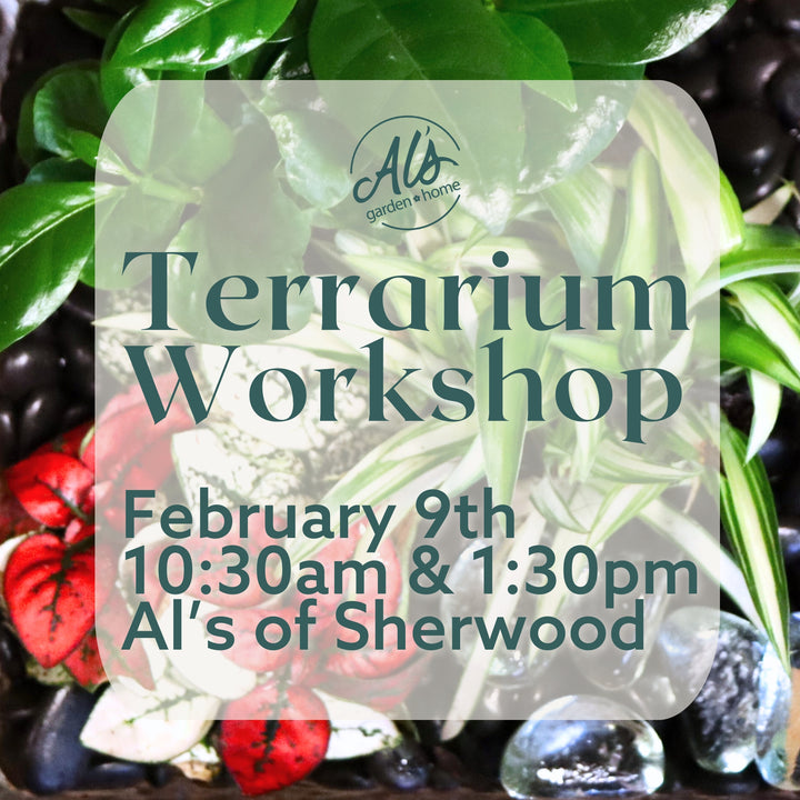 Terrarium Workshop: Sherwood