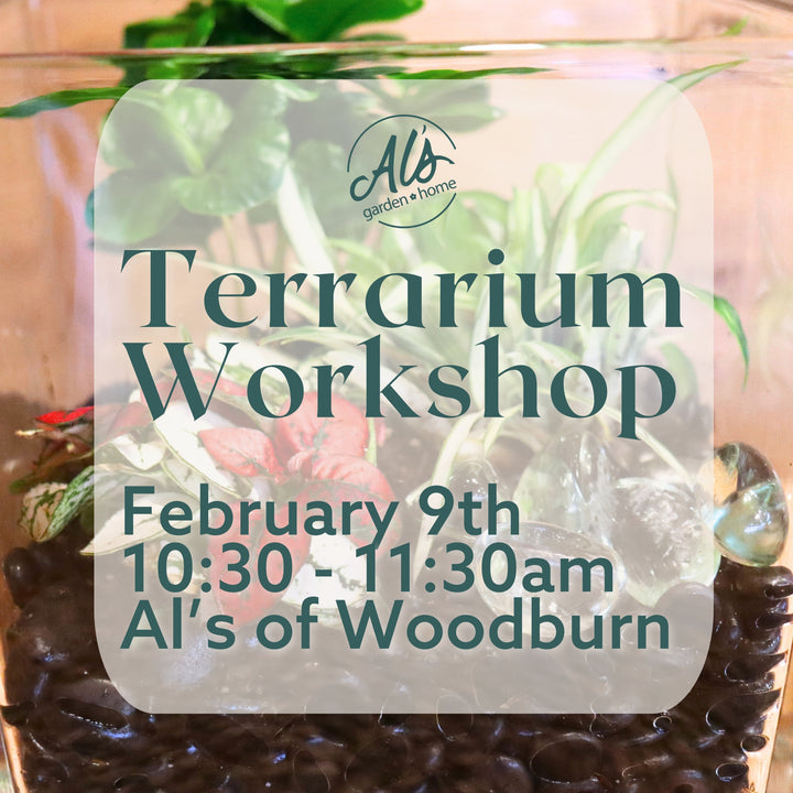 Terrarium Workshop: Woodburn