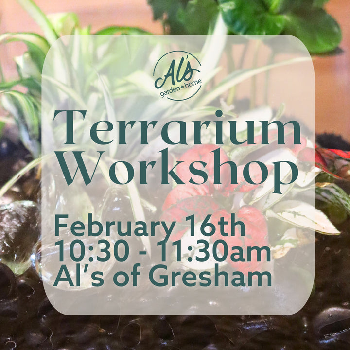 Terrarium Workshop: Gresham