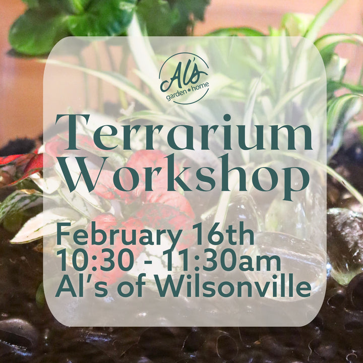 Terrarium Workshop: Wilsonville