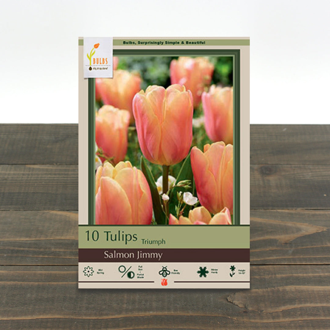 Triumph Tulips Salmon Jimmy