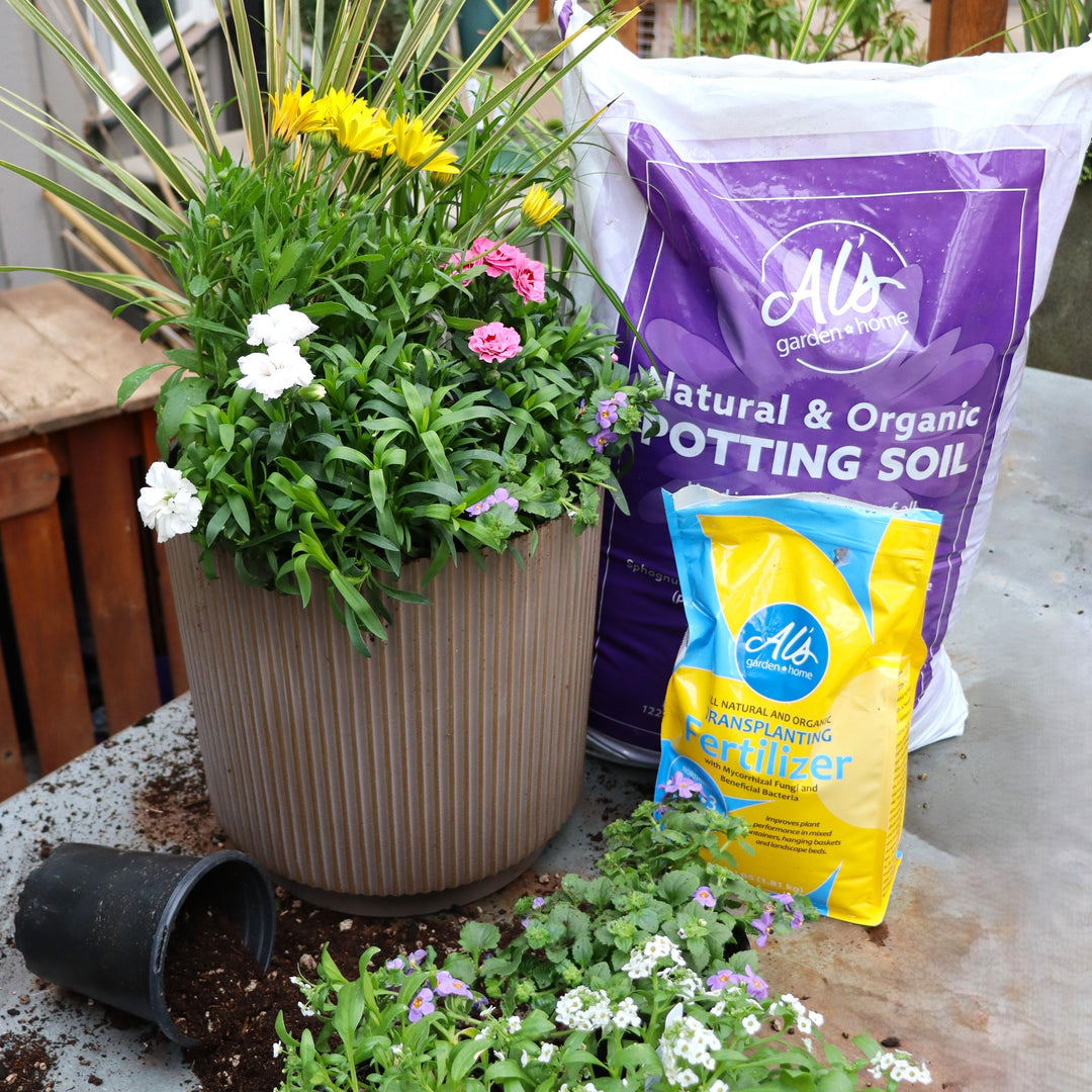 Hello Spring! Container Workshop - Gresham