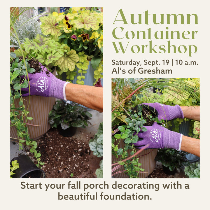 Autumn Container Workshop - Gresham