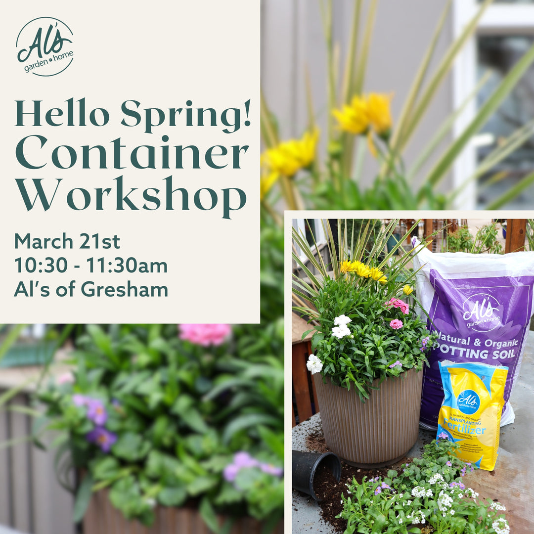 Hello Spring! Container Workshop - Gresham