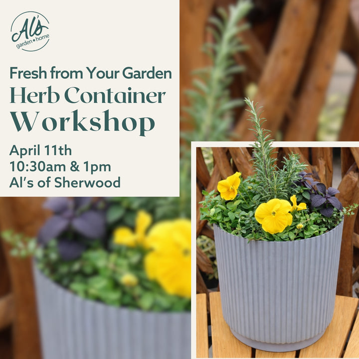 Herb Container Workshop - Sherwood